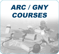 ARC/GNY Courses